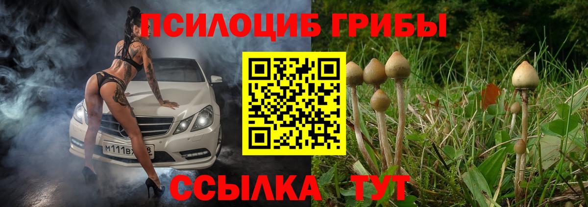 Губаха  Псилоцибиновые грибы ЛСД  Вход с VPN 